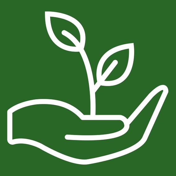 Certificado del producto Camisa orgánica Oxford Washed entallada hombre